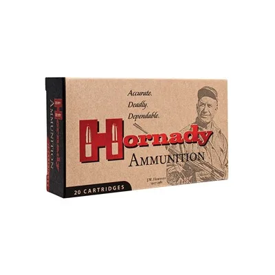 Hornady Custom Ammo 450 Bushmaster 250gr Ftx