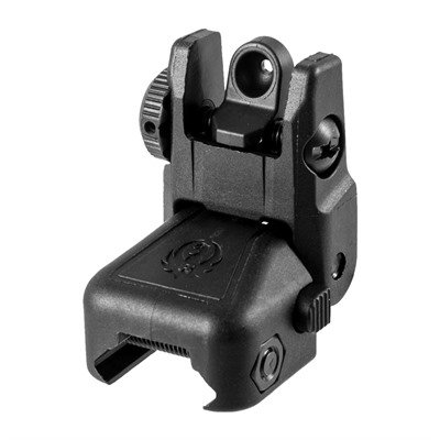Ruger Sr-22~ Rapid Deploy Rear Sight