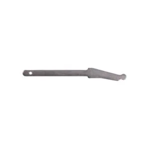 Ruger Hammer Strut, Ss