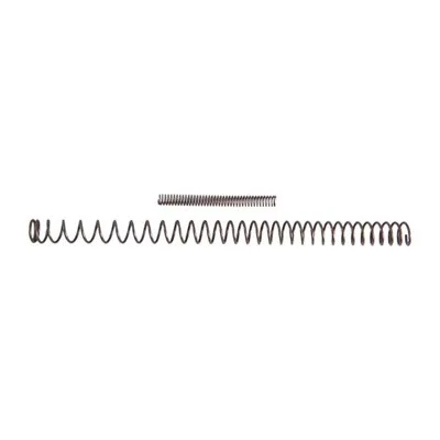 Wolff Government Model Variable Power Recoil Spring