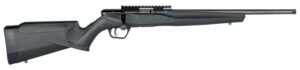 Savage Arms B17 FV-SR 17 HMR 16.10 Round Bolt Action Rimfire Rifle, Sporter - 70803