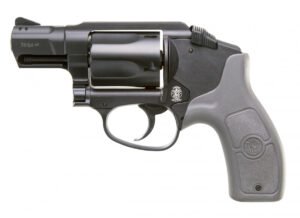 Smith & Wesson M&P Bodyguard .38 Special +P Revolver w/o Laser, Gray - 103039