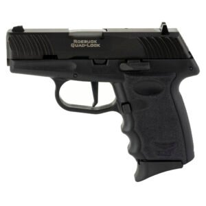 SCCY DVG-1 9mm Pistol, 3.1" Barrel, Blade Front/Adjustable Rear Sights, Black - DVG1CBBK