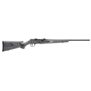 Savage Arms A17 Sporter .17 WSM Semi-Auto, Matte Gray - 47801
