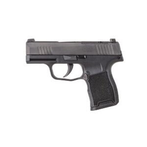 Sig Sauer P365 .380 ACP 3.10" 10rds, Black - 365380BSSMSMA