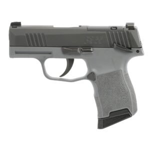 Sig Sauer P365 OR 9mm 3.1" 10rd Pistol, Black/Gray - 365-9-BXR3P-MS-GRY