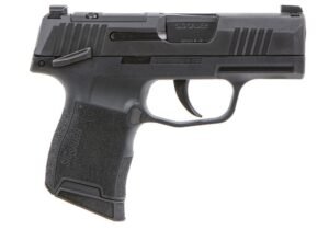 Sig Sauer P365 9mm 3.1" 10rd - 365-9-BXR3P-MS