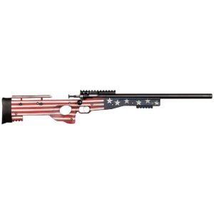 Crickett Precision .22LR Bolt Action Rifle, Old Glory - KSA2150-OG