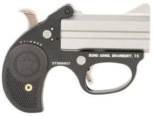 Bond Arms Stinger .22LR 3" 2rds Pistol, Stainless - BAST