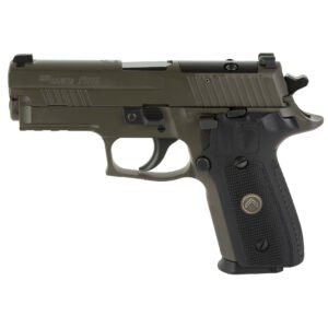 Sig Sauer P229 9mm Pistol, 3.9" Barrel, Night Sights, Legion Gray - 229R9LEGIONR2