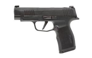 Sig Sauer P365 9mm Pistol, 3.7" Barrel, Night Sights, Rose - 365XL9BXR3P10