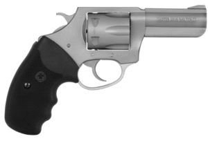 Charter Arms Pitbull Large .380 ACP Revolver, SS - 73802